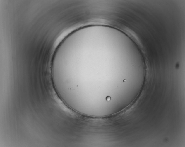 X0000116371192200912231309