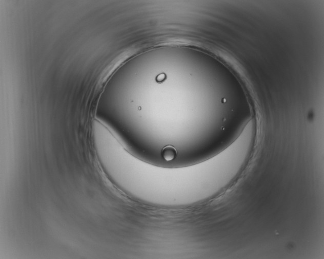 X0000116371193200912231309