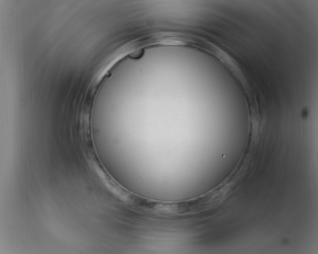 X0000116371194200912231309