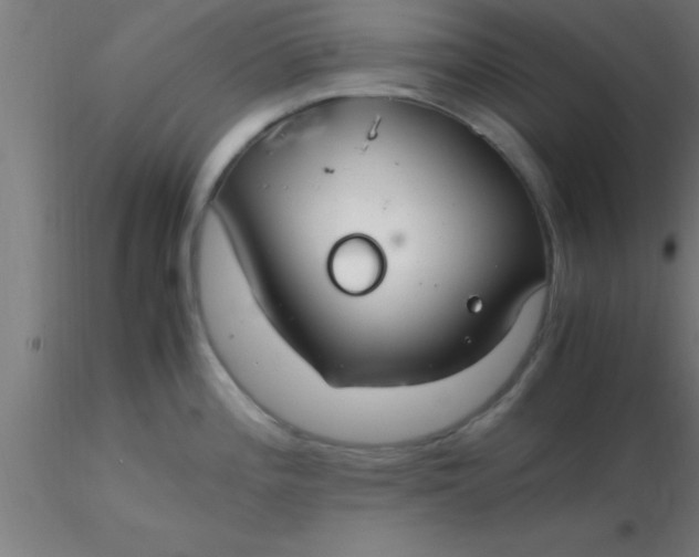 X0000116371196200912231309