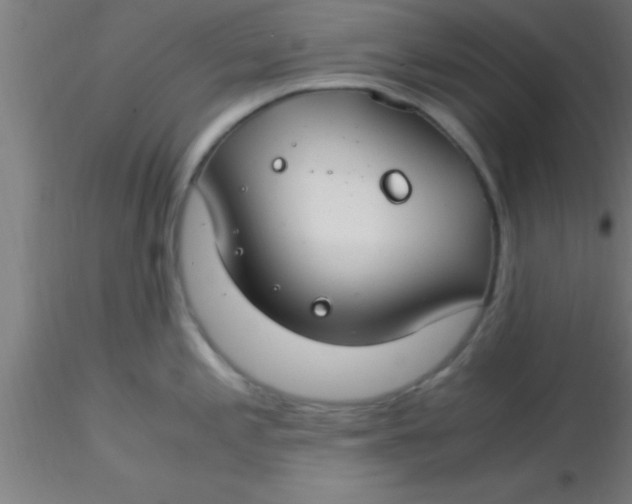 X0000116371197200912231309