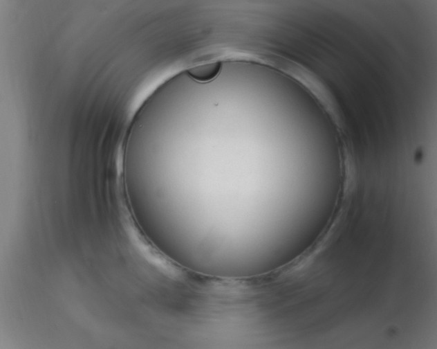 X0000116371198200912231309