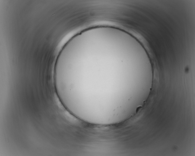 X0000116371199200912231309