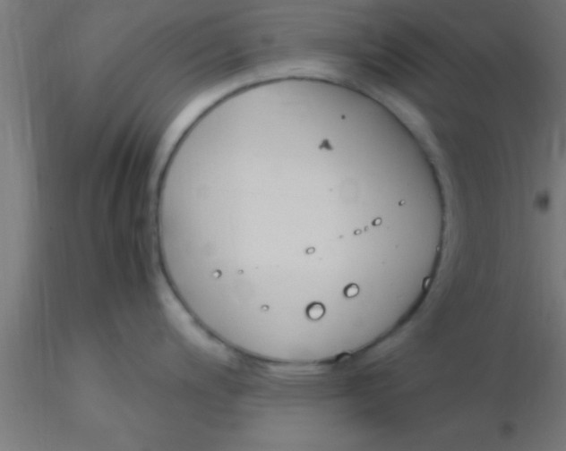 X0000116371200200912231309