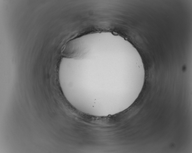 X0000116371201200912231308