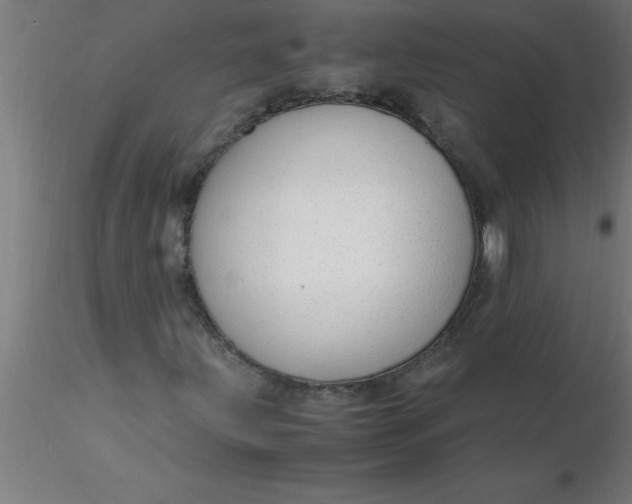 X0000116371203200912231308