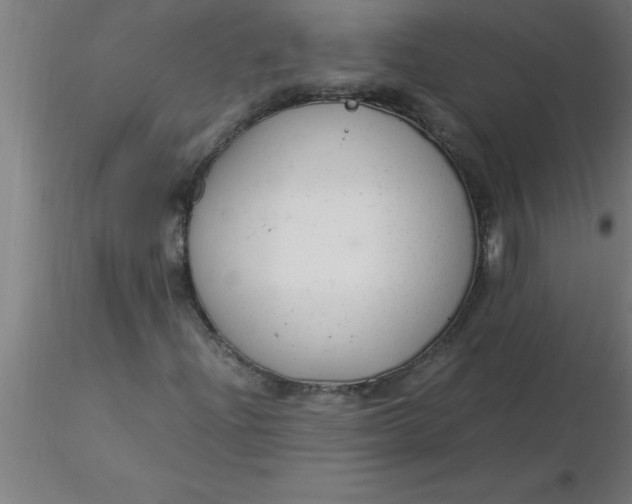 X0000116371204200912231308