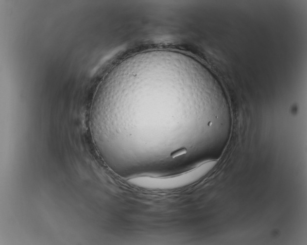 X0000116371205200912231308