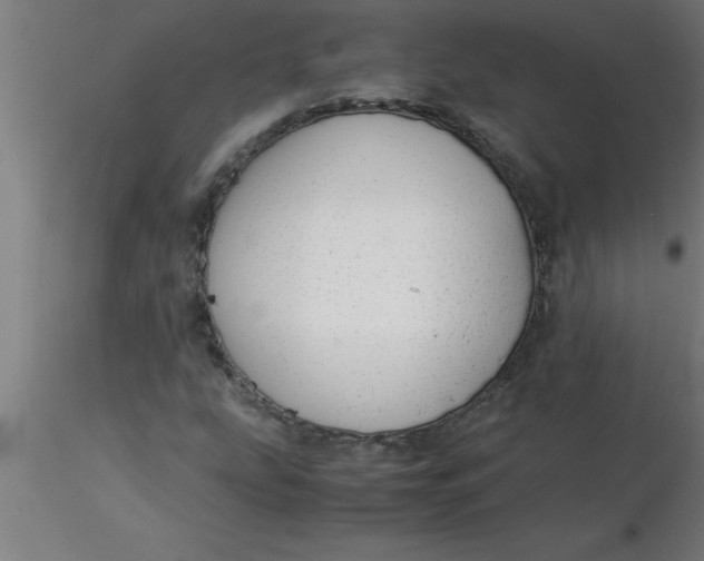 X0000116371207200912231308