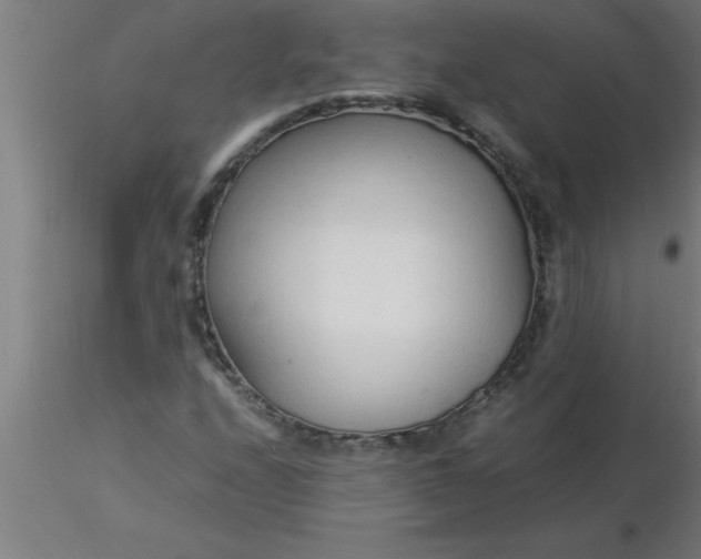 X0000116371208200912231309