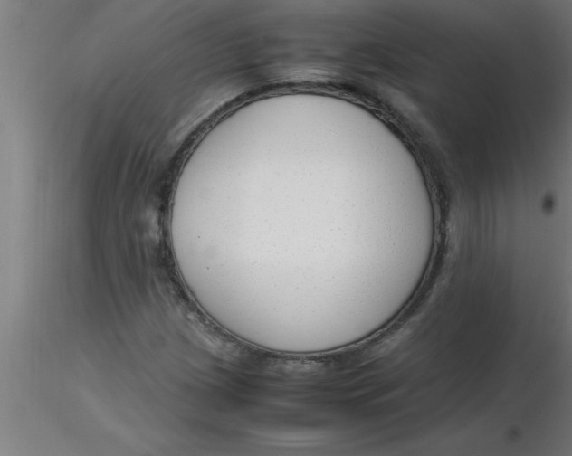 X0000116371209200912231309