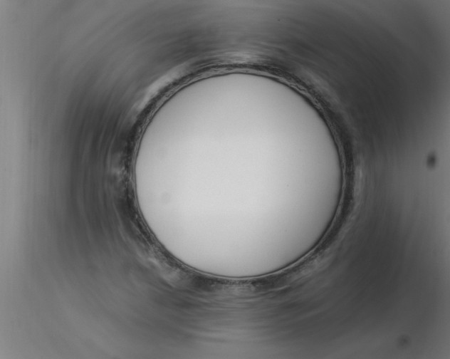 X0000116371210200912231309