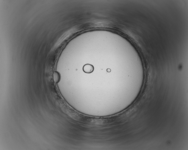 X0000116371211200912231309