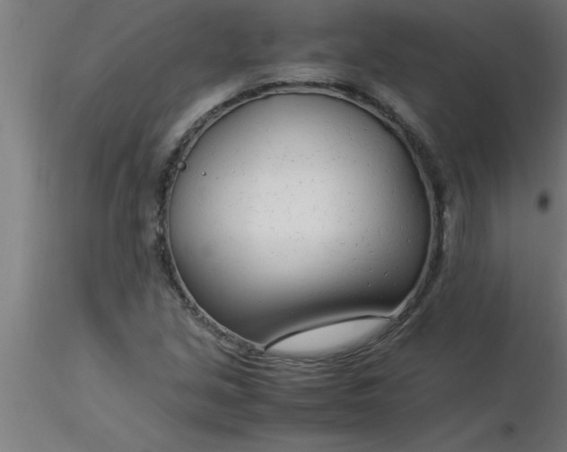 X0000116371213200912231309