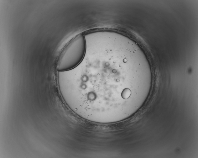 X0000116371215200912231309