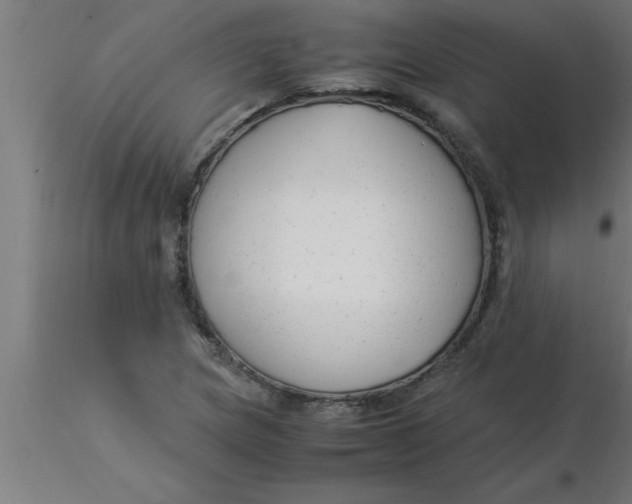 X0000116371217200912231309