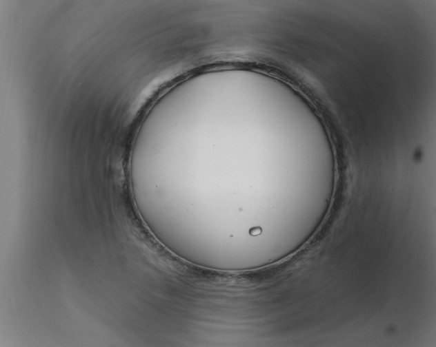 X0000116371218200912231309