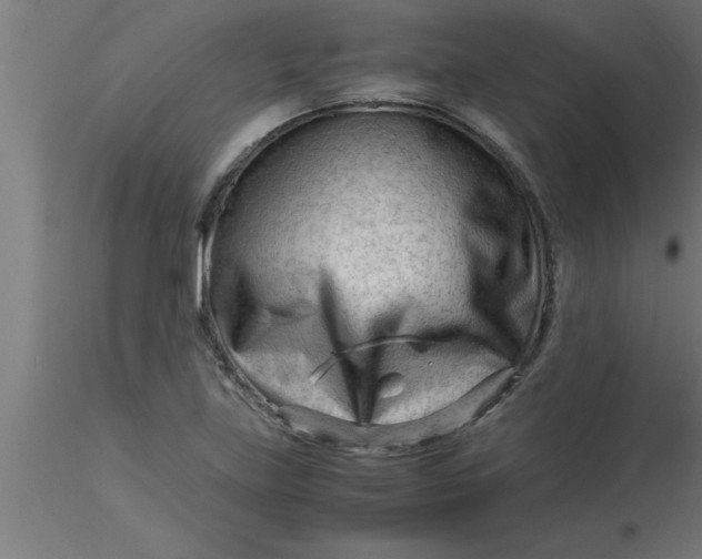 X0000116371219200912231309