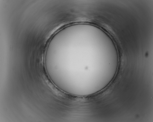 X0000116371220200912231309