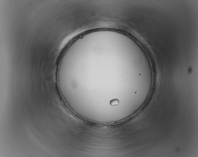 X0000116371222200912231309