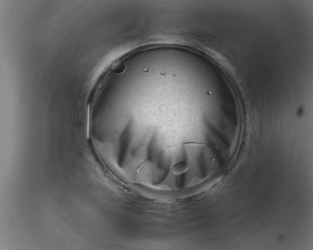 X0000116371223200912231309