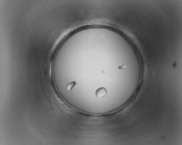 X0000116371224200912231309