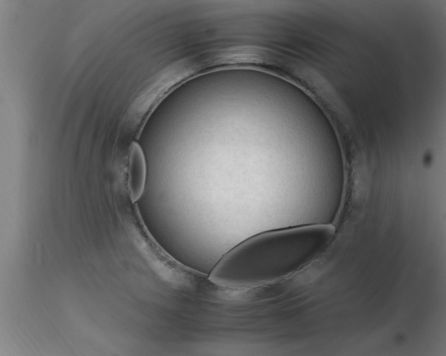 X0000116371225200912231309