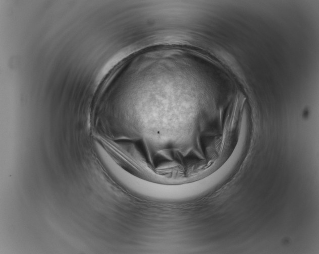 X0000116371226200912231309