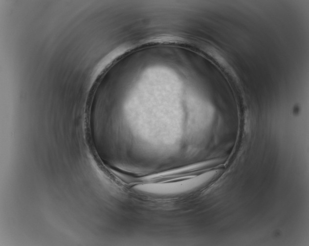 X0000116371229200912231309