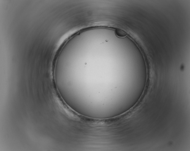 X0000116371230200912231309