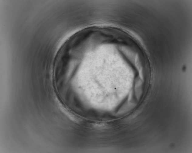 X0000116371231200912231309