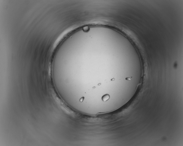 X0000116371232200912231309