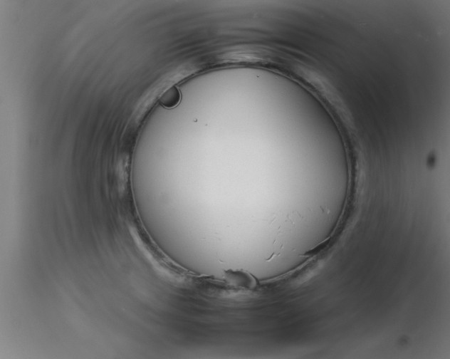 X0000116371233200912231309