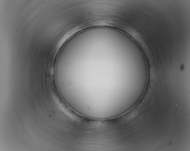 X0000116371234200912231309