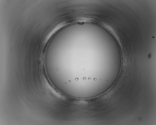 X0000116371235200912231309