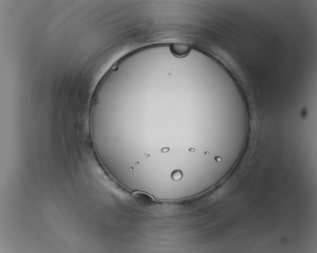 X0000116371236200912231309