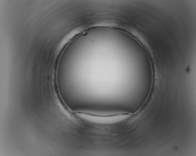 X0000116371237200912231309