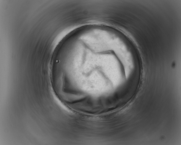 X0000116371239200912231309