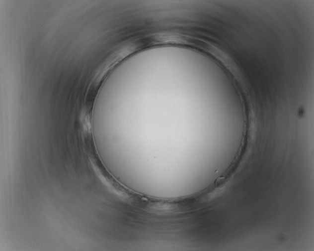 X0000116371241200912231309