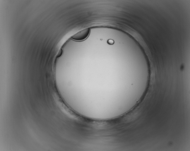 X0000116371242200912231309