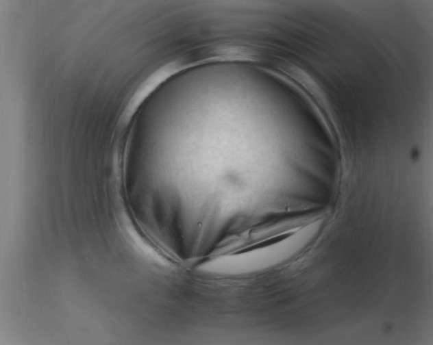 X0000116371243200912231309