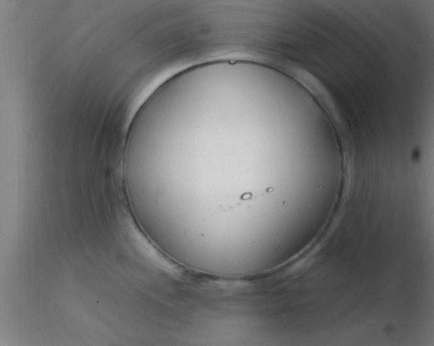 X0000116371244200912231309