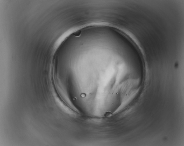 X0000116371245200912231309