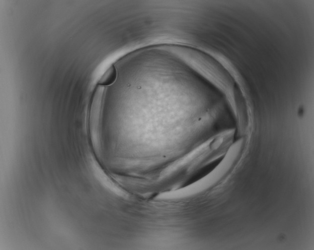 X0000116371246200912231309