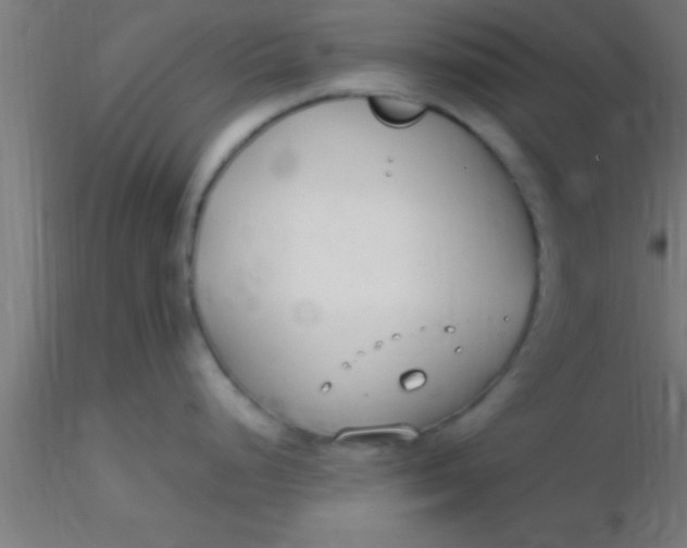 X0000116371248200912231309