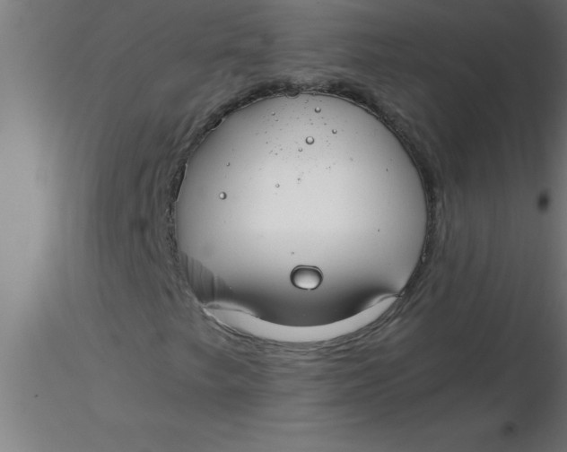 X0000116371249200912231308