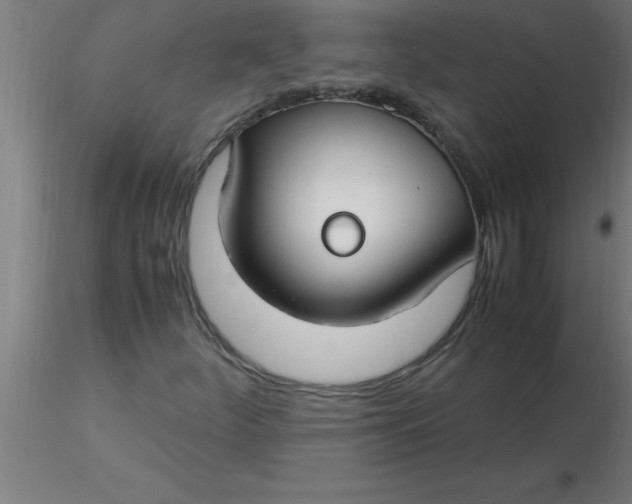 X0000116371252200912231308