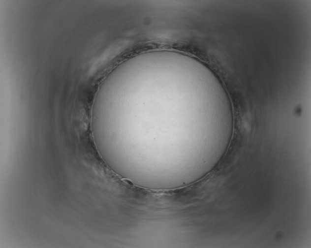 X0000116371253200912231308