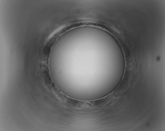 X0000116371255200912231308