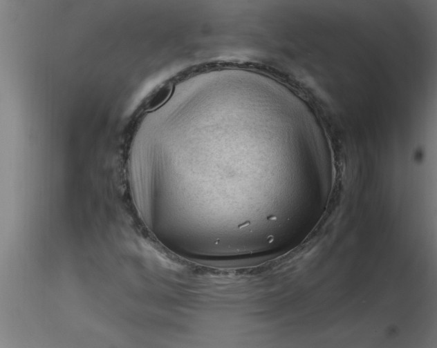 X0000116371256200912231308